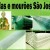Telas e Mouroes Sao Jose
