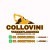 Terraplanagem Collovini